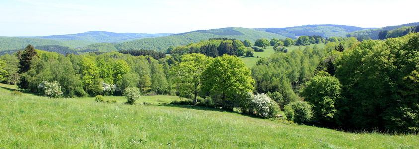 Clerheid
